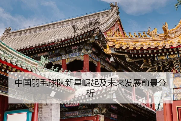 中国羽毛球队新星崛起及未来发展前景分析